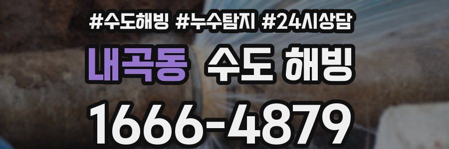 내곡동 수도 해빙
