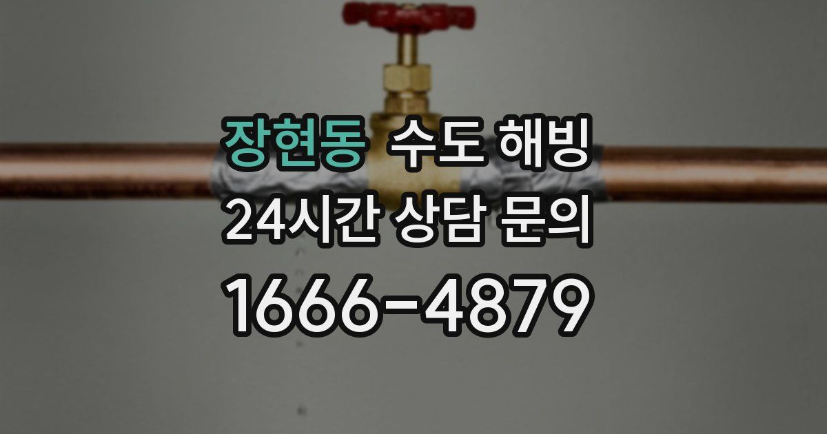 장현동 수도 해빙