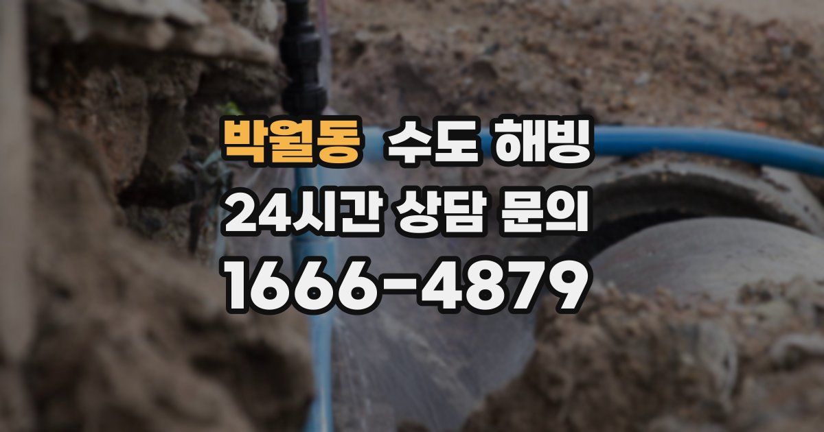 박월동 수도 해빙