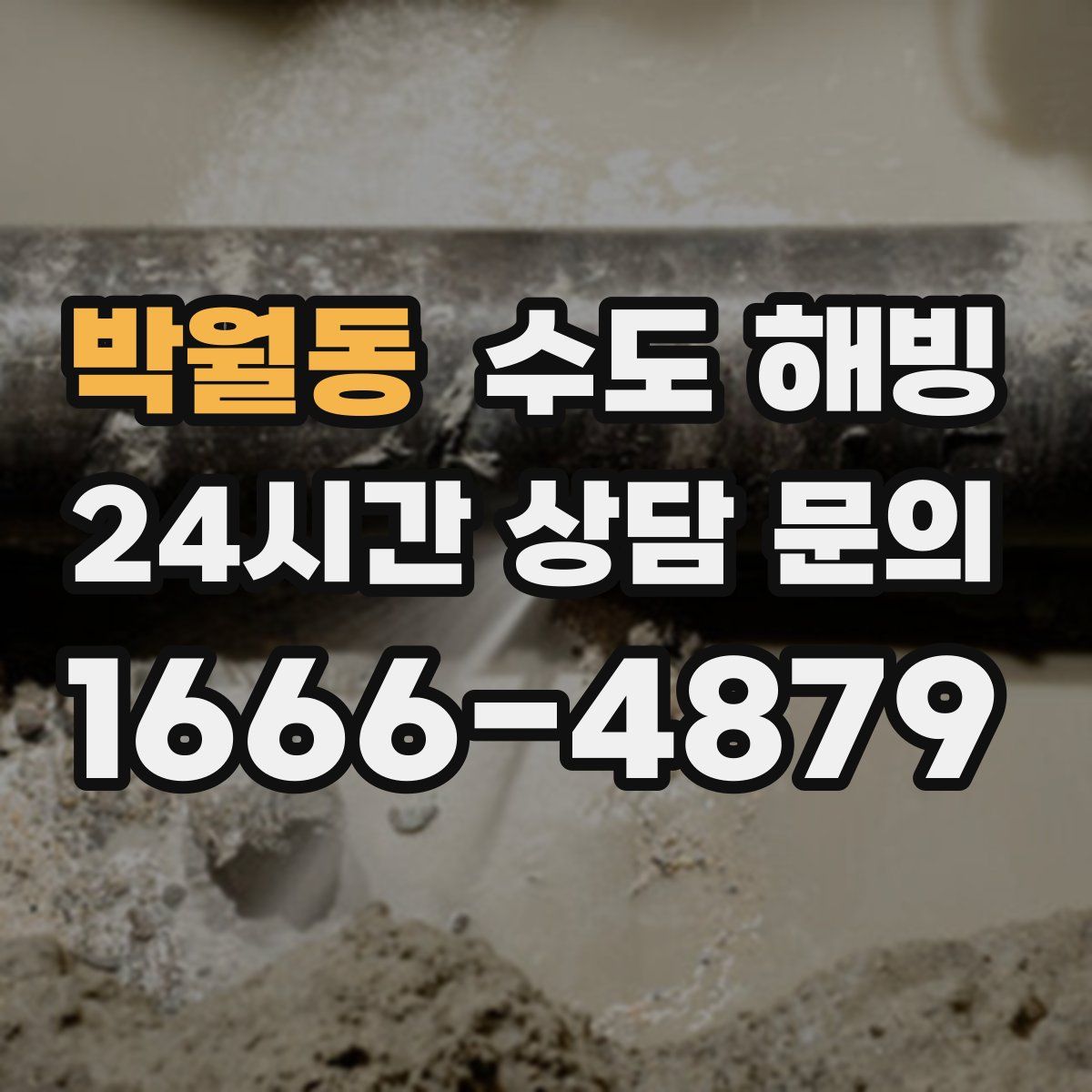 박월동 수도 해빙