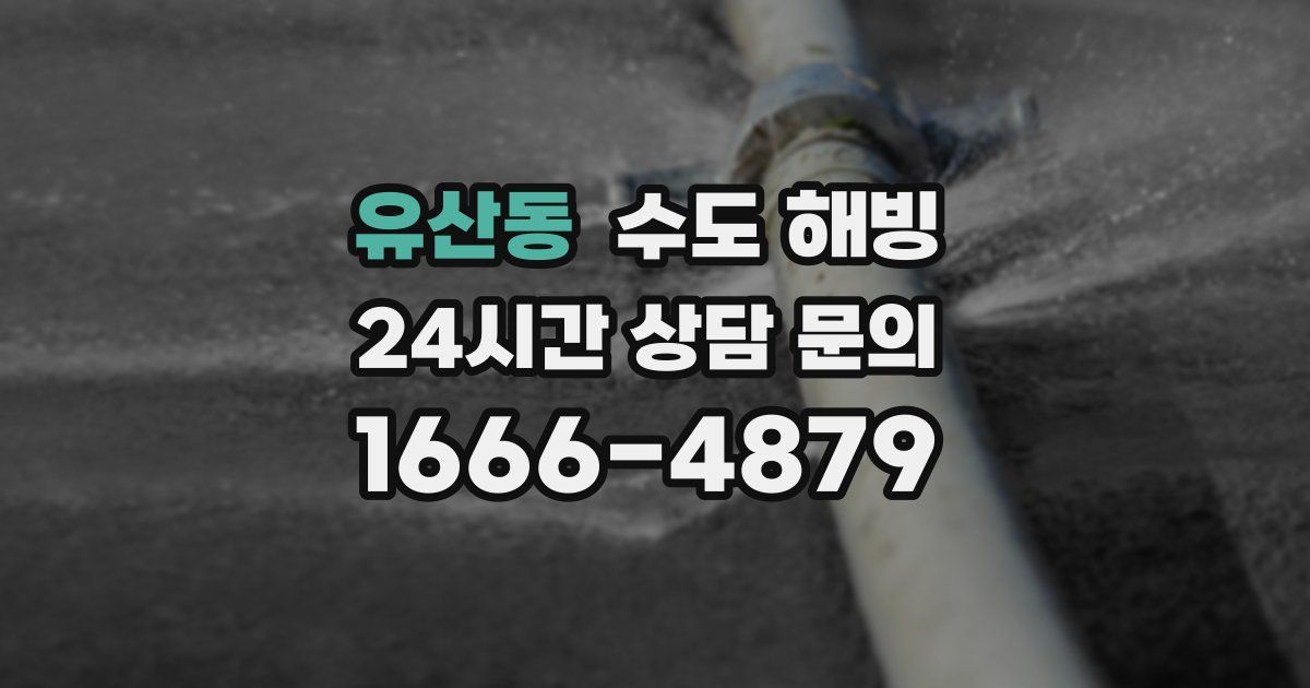 유산동 수도 해빙