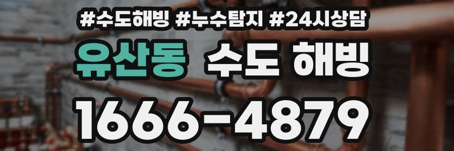 유산동 수도 해빙