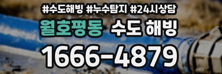 월호평동 수도 해빙