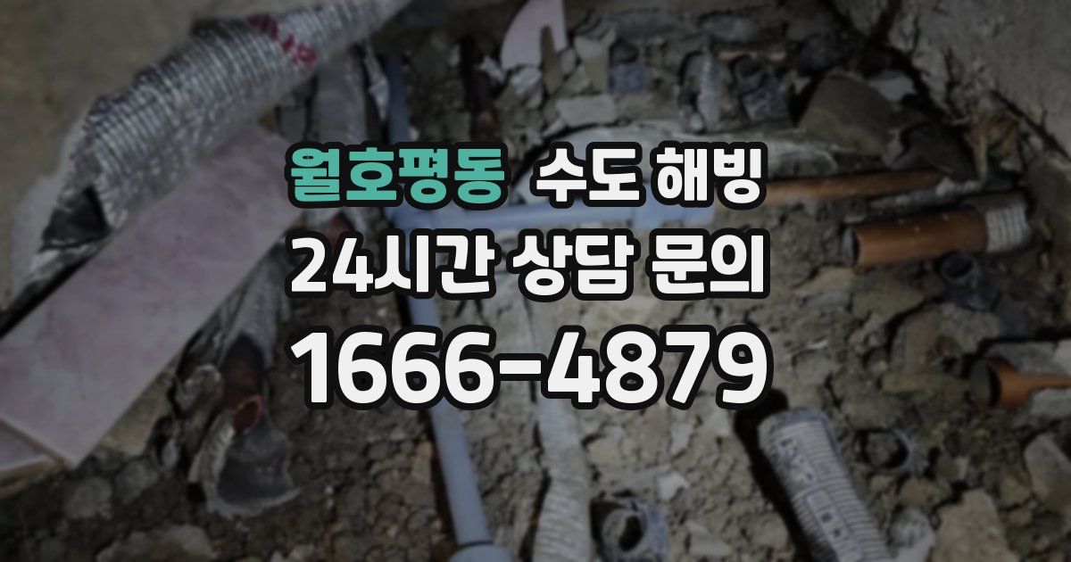 월호평동 수도 해빙