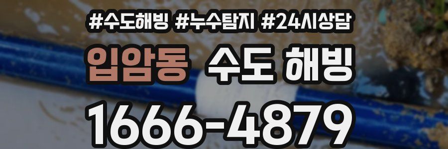 입암동 수도 해빙