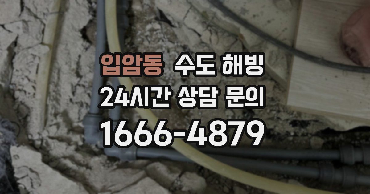 입암동 수도 해빙
