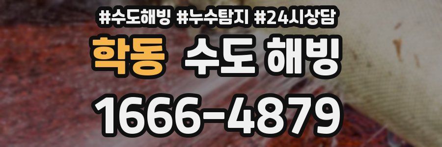 학동 수도 해빙