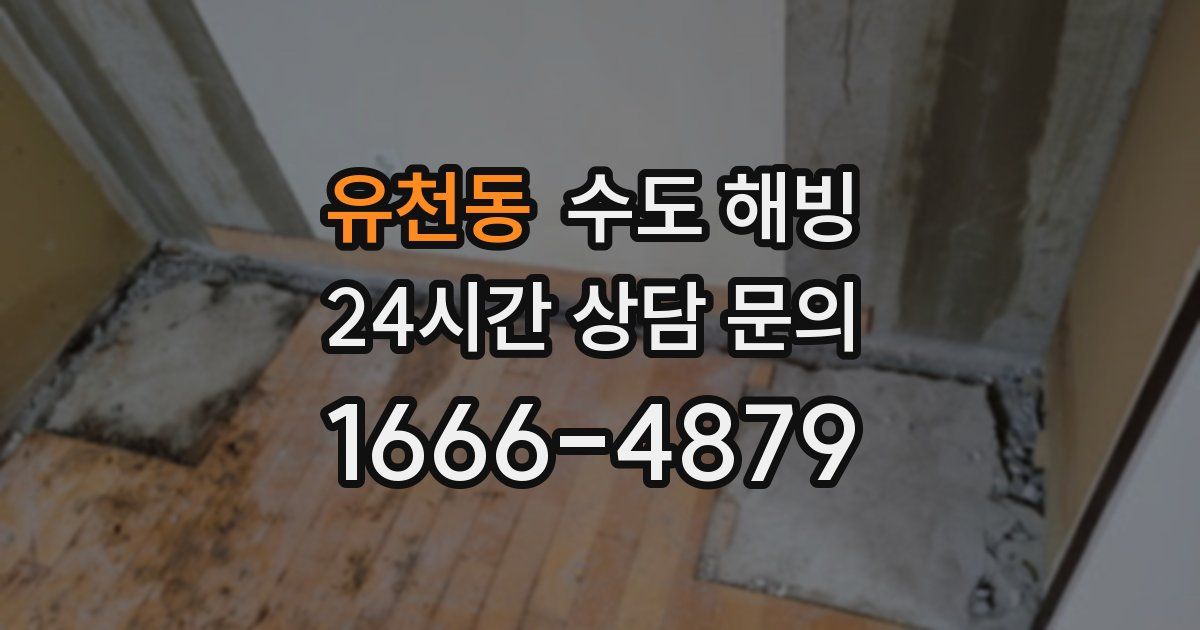 유천동 수도 해빙