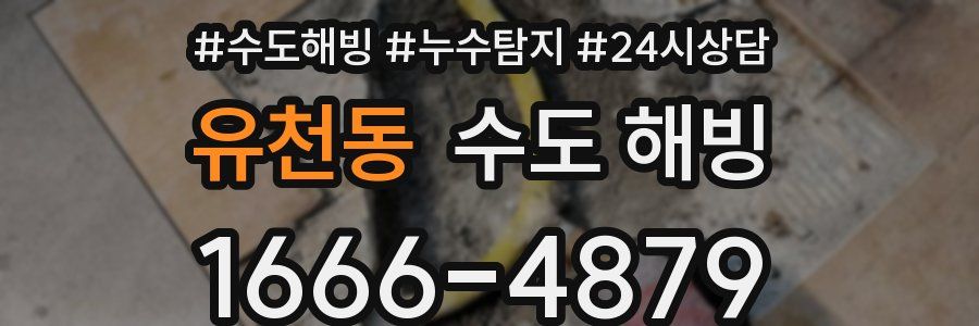 유천동 수도 해빙