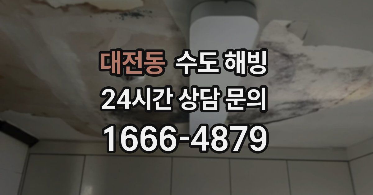 대전동 수도 해빙