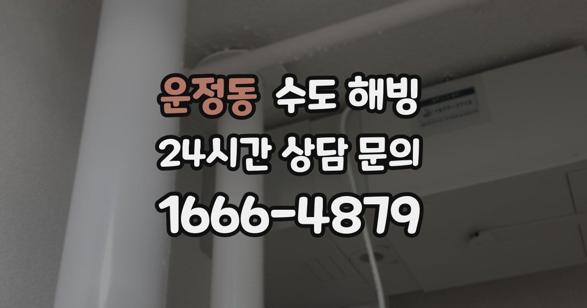 운정동 수도 해빙