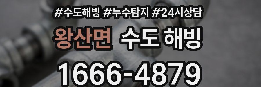 왕산면 수도 해빙