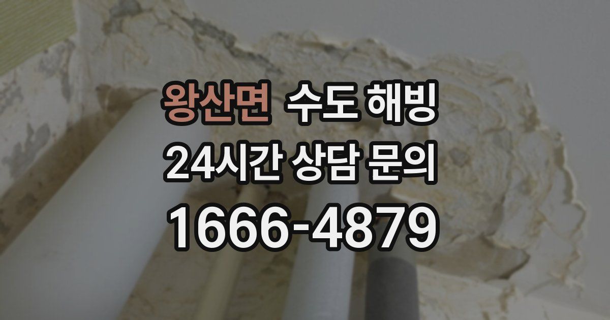 왕산면 수도 해빙