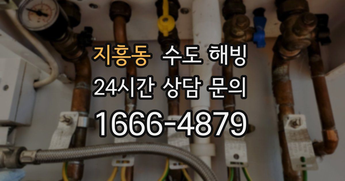 지흥동 수도 해빙