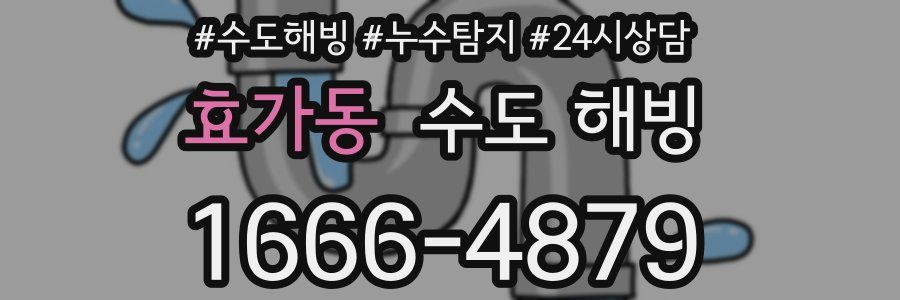 효가동 수도 해빙