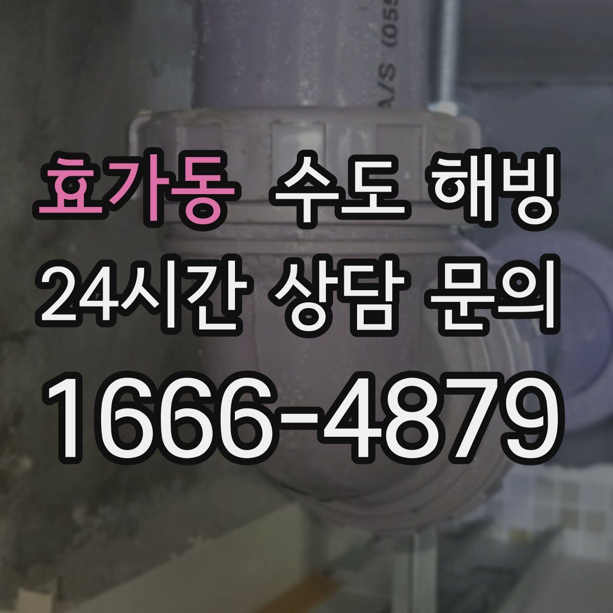 효가동 수도 해빙