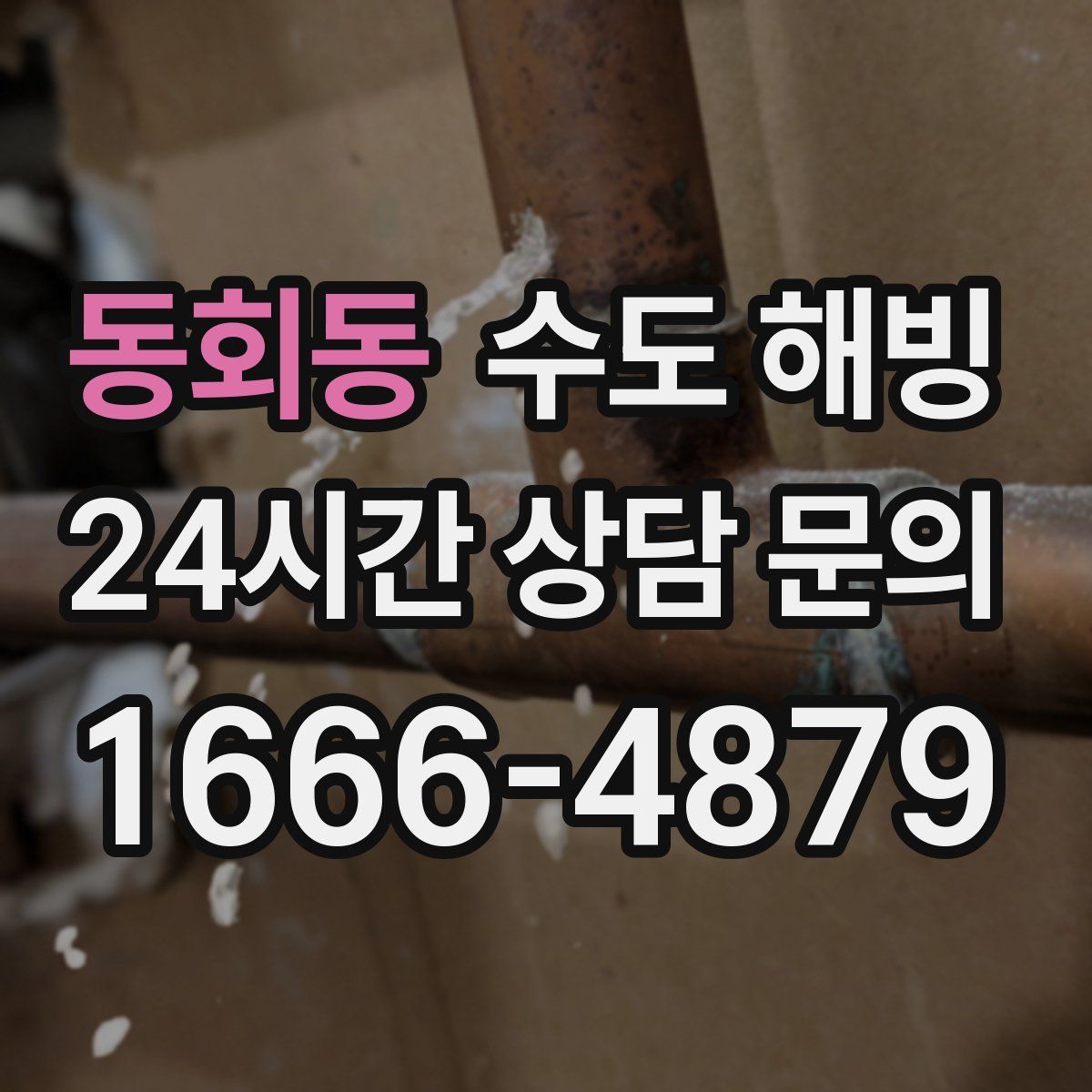 동회동 수도 해빙