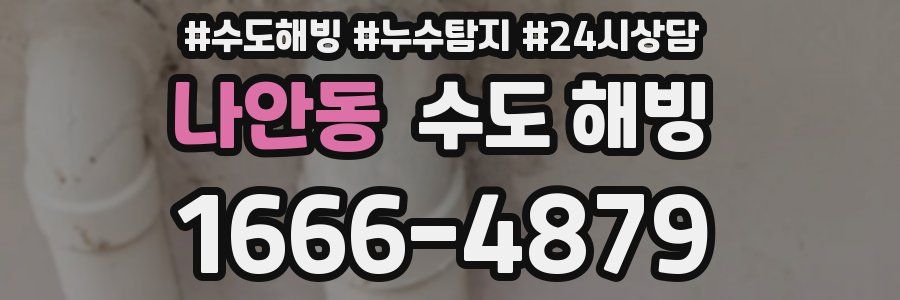 나안동 수도 해빙