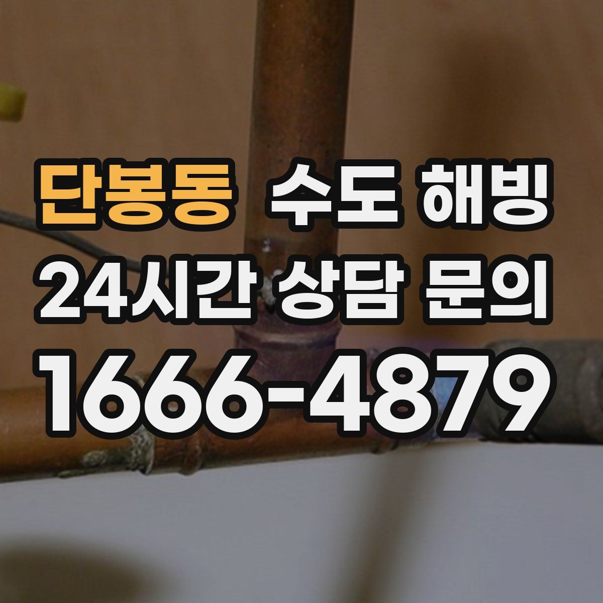 단봉동 수도 해빙