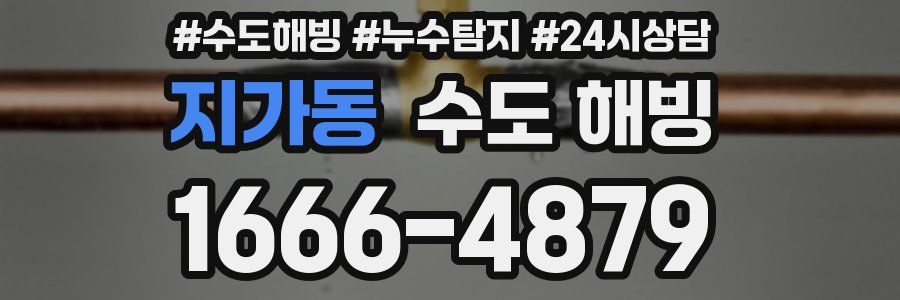 지가동 수도 해빙