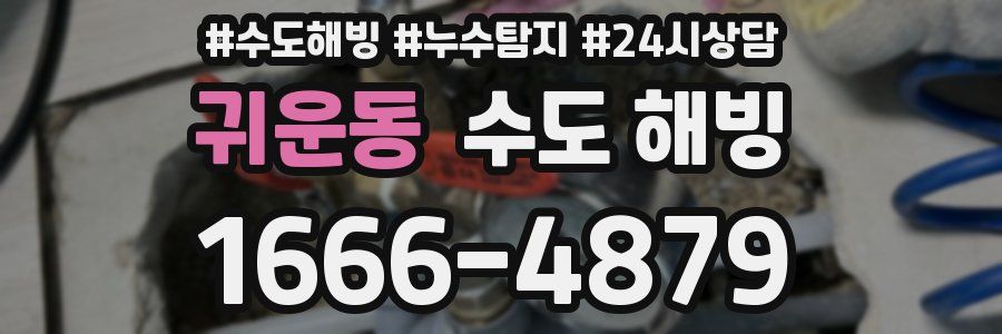 귀운동 수도 해빙