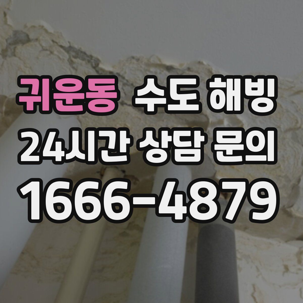 귀운동 수도 해빙