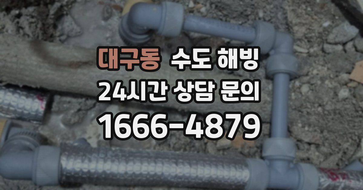 대구동 수도 해빙