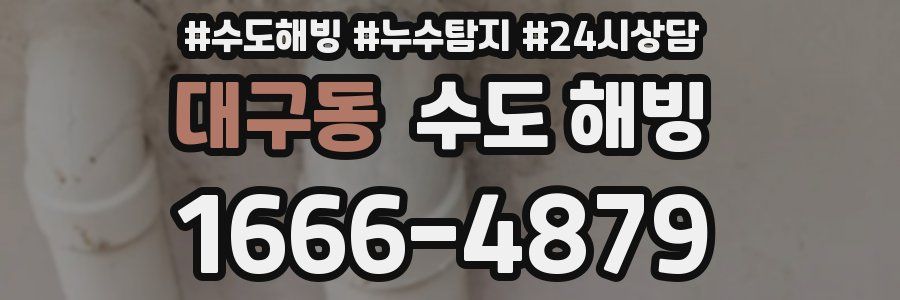 대구동 수도 해빙