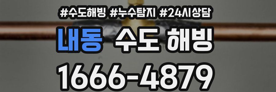 내동 수도 해빙