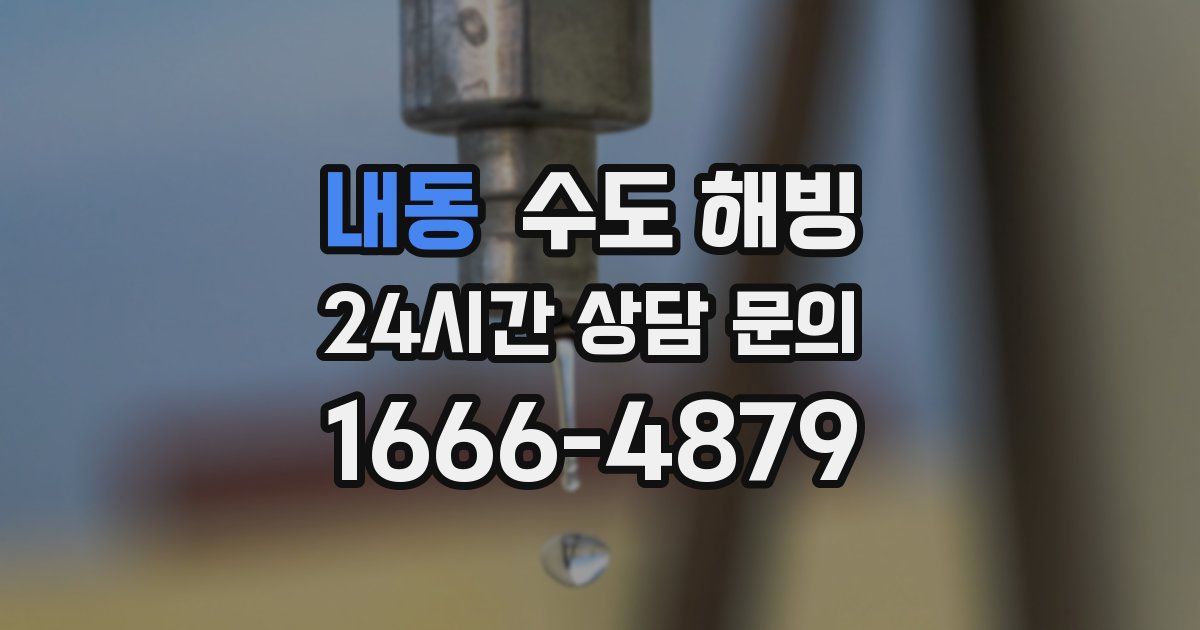 내동 수도 해빙