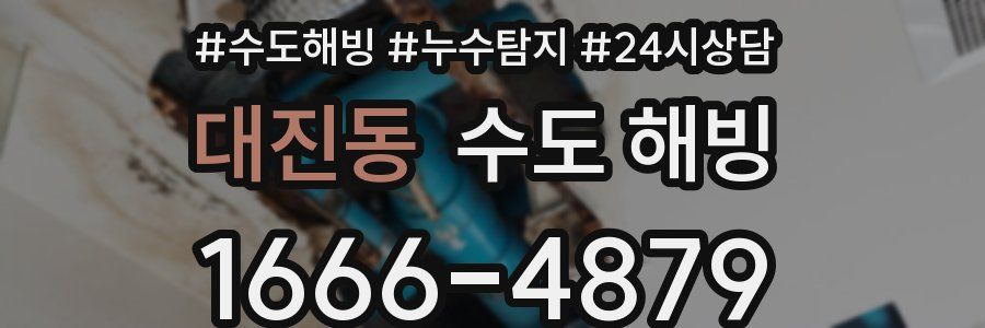 대진동 수도 해빙