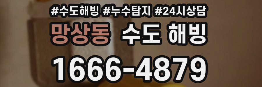 망상동 수도 해빙