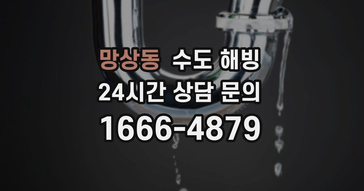 망상동 수도 해빙