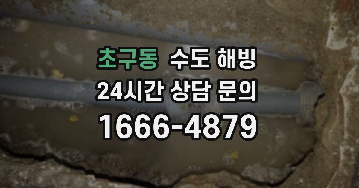 초구동 수도 해빙