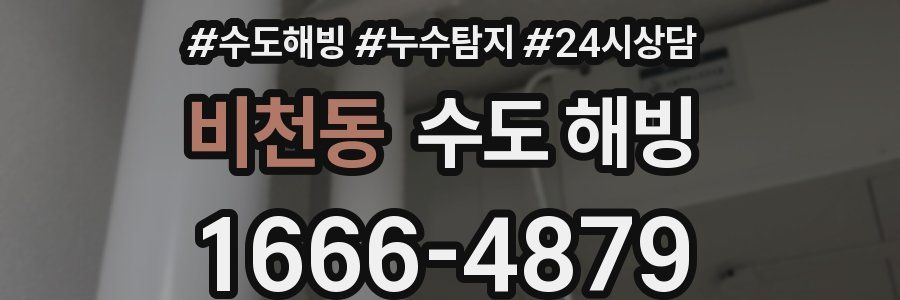 비천동 수도 해빙