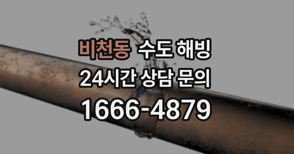 비천동 수도 해빙