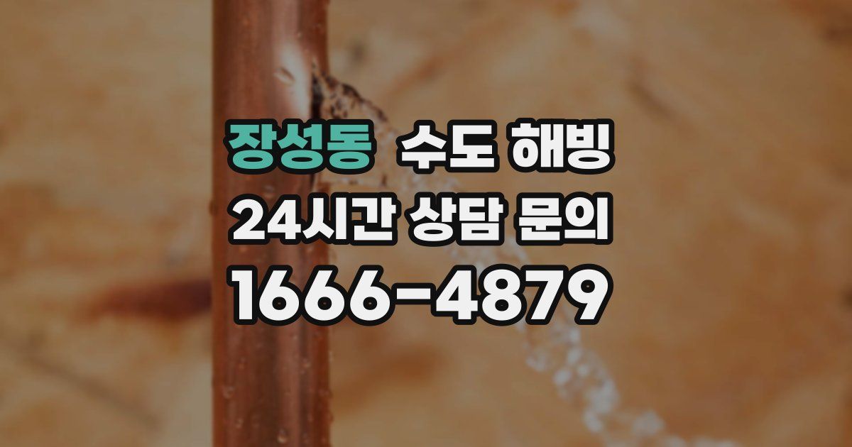 장성동 수도 해빙