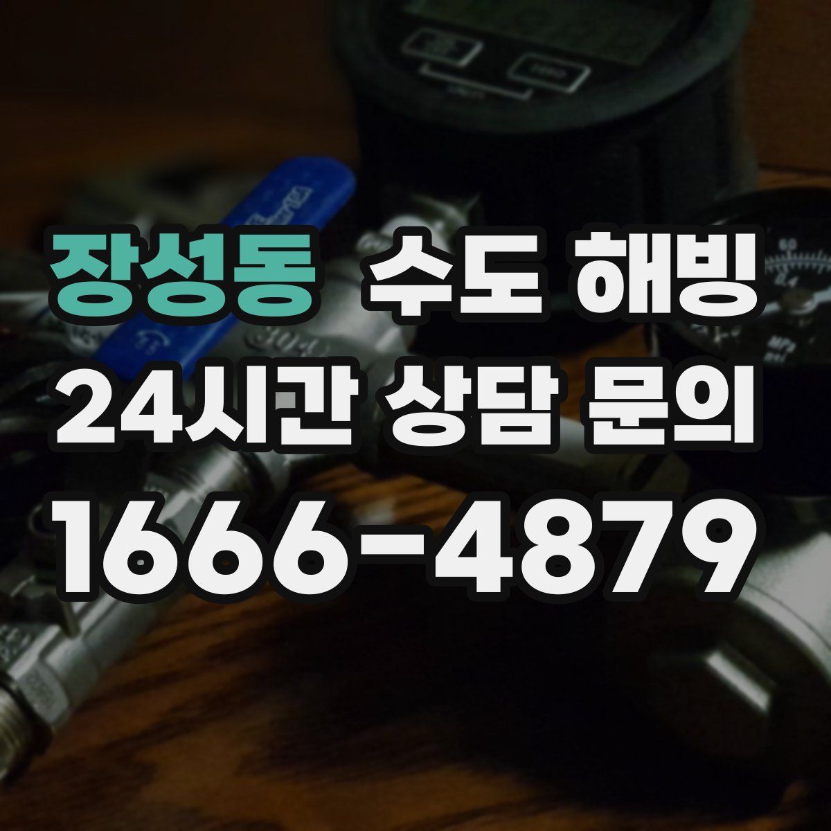 장성동 수도 해빙