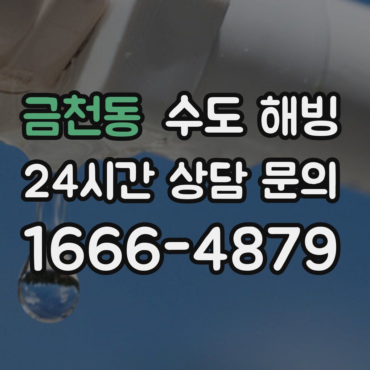 금천동 수도 해빙