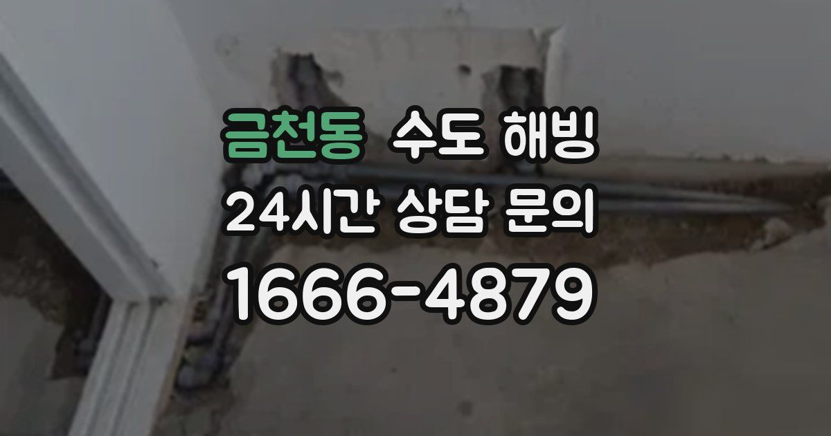 금천동 수도 해빙