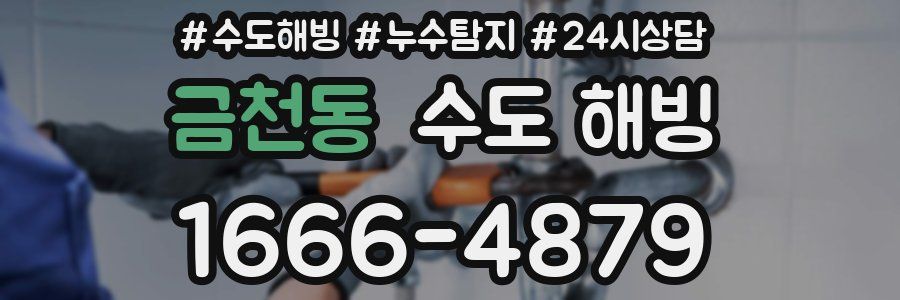 금천동 수도 해빙