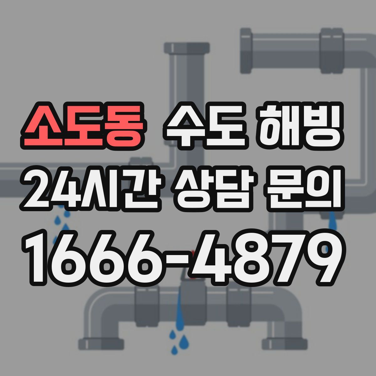 소도동 수도 해빙