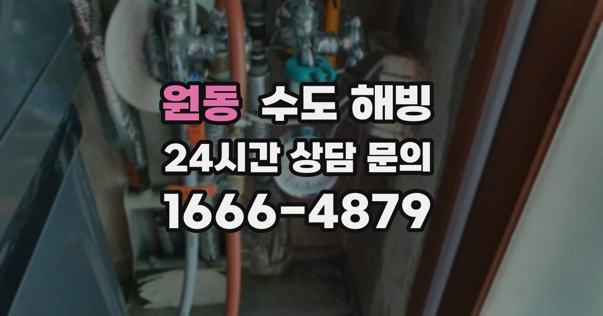 원동 수도 해빙