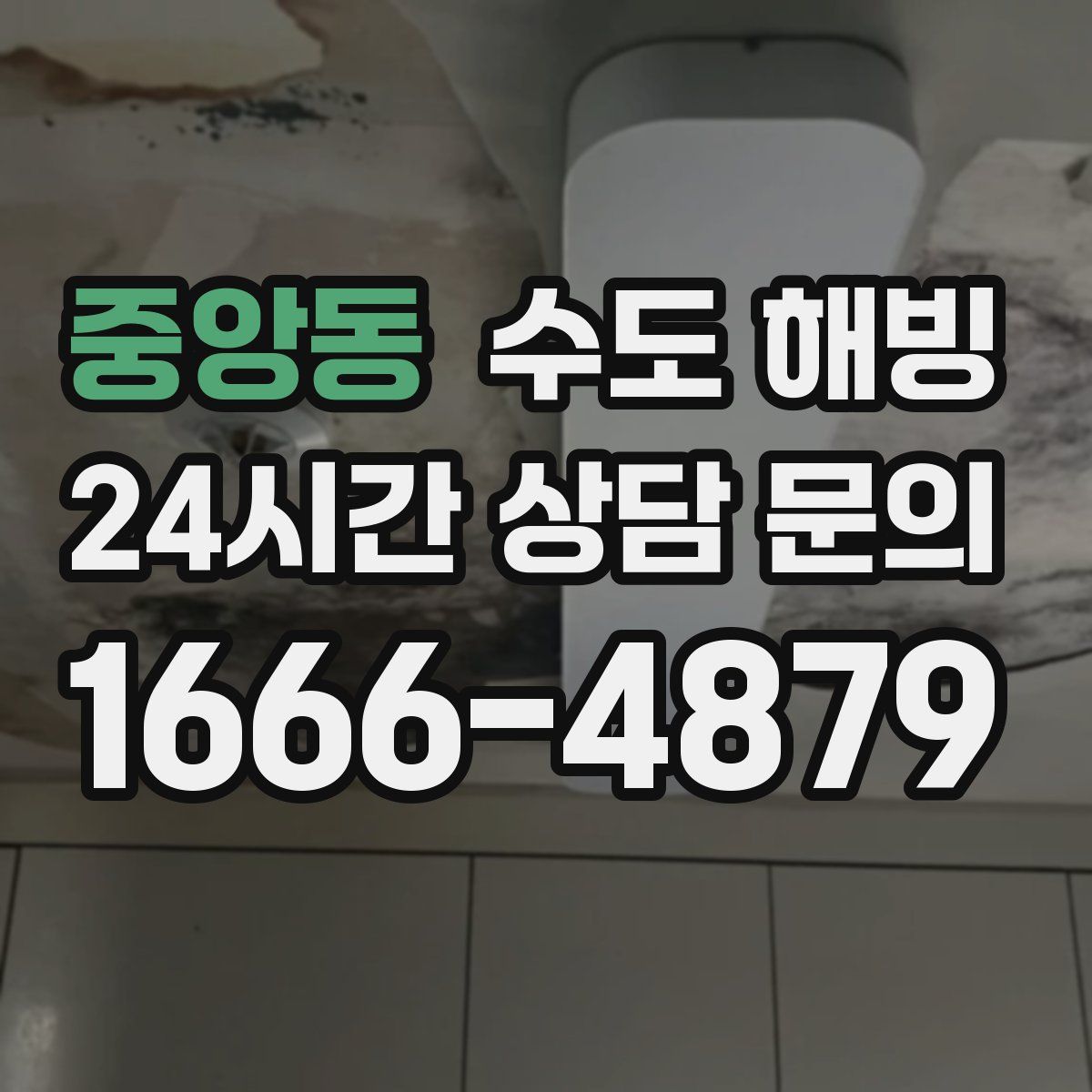 중앙동 수도 해빙