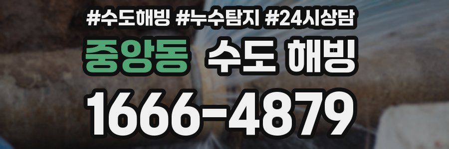 중앙동 수도 해빙