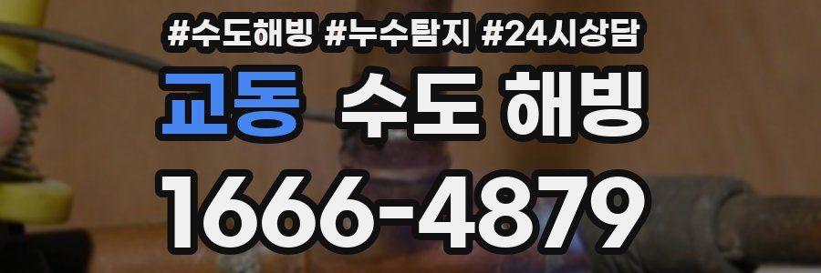 교동 수도 해빙