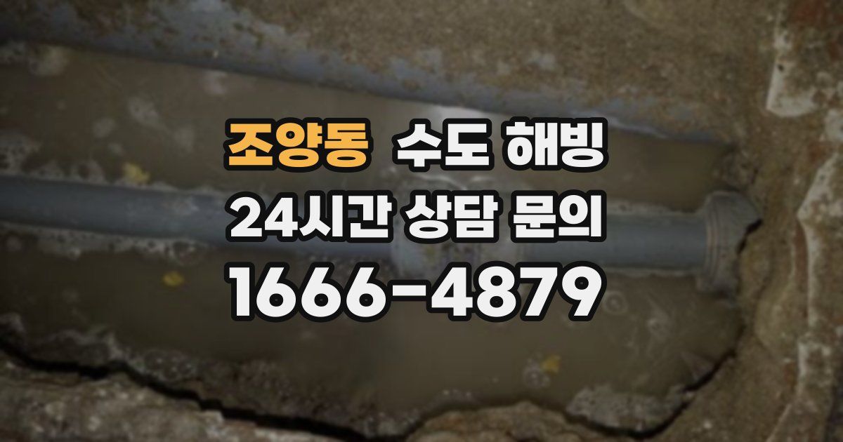 조양동 수도 해빙