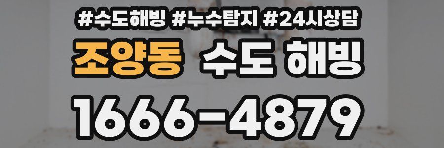 조양동 수도 해빙