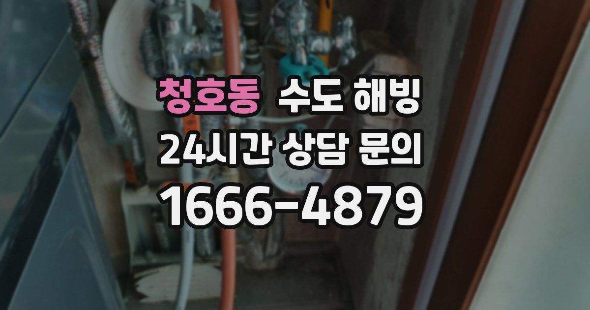 청호동 수도 해빙