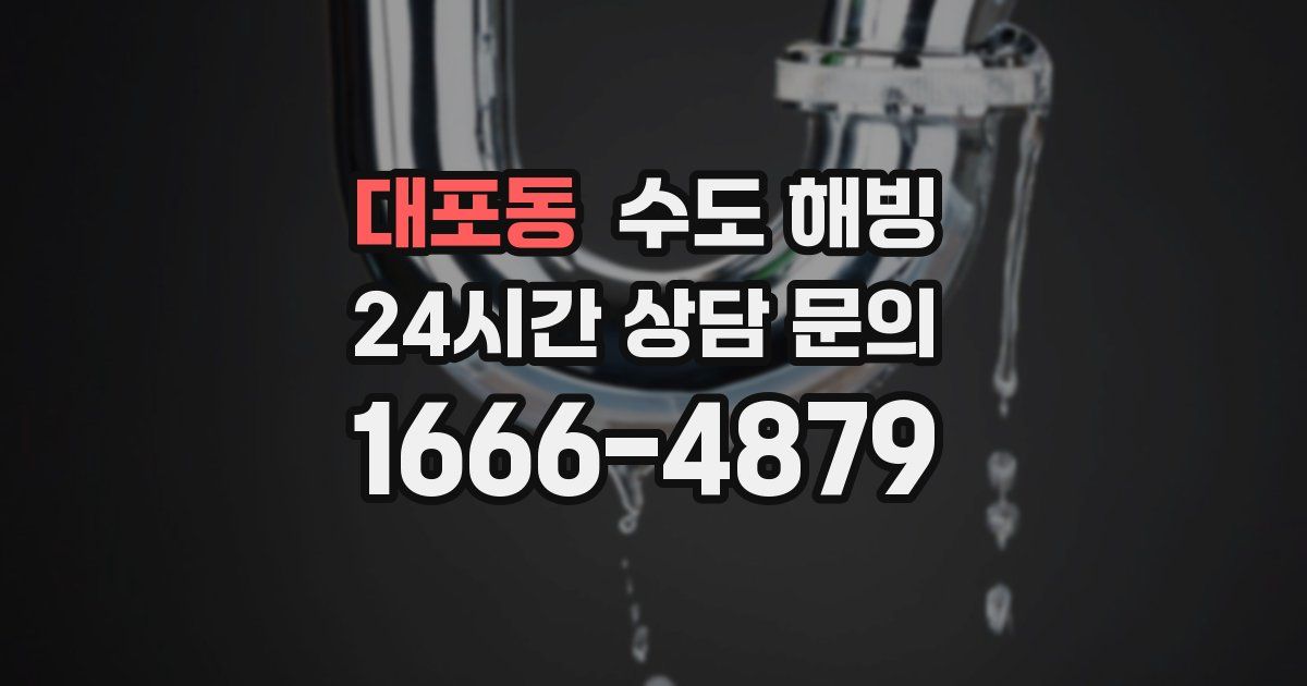대포동 수도 해빙